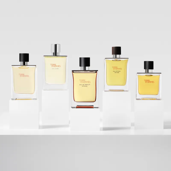 Perfume Hermès Terre D'Hermès Masculino Intense Eau de Parfum
